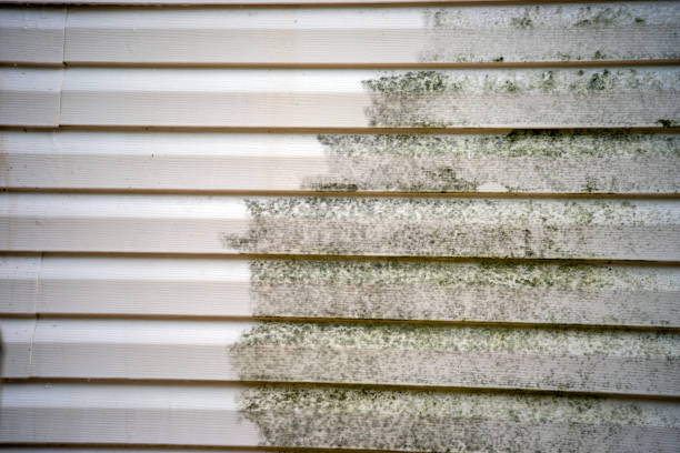 Atlantic City, NJ Siding Installation & Repair Company