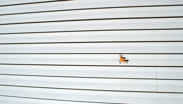 Best Wood Siding Installation  in Atlantic City, NJ