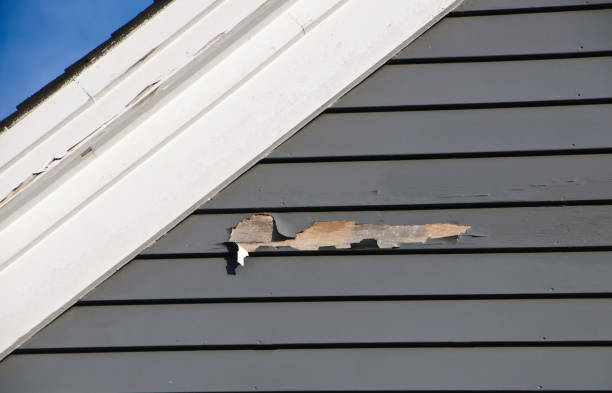 Best Custom Trim and Detailing for Siding  in Atlantic City, NJ