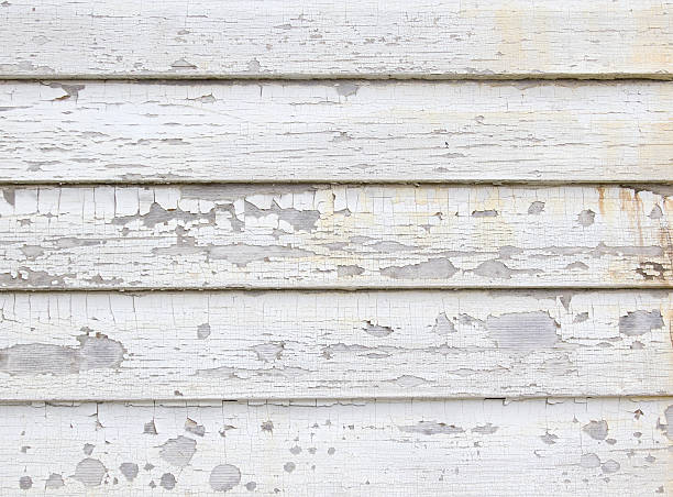 Best Custom Siding Design  in Atlantic City, NJ
